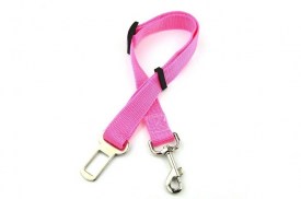 Correa corta mascota broche cinturon blister (1).jpg
